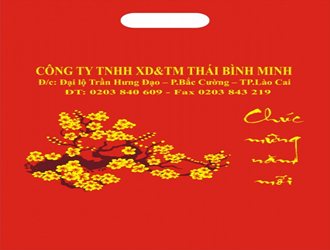 In túi nilon quà tặng